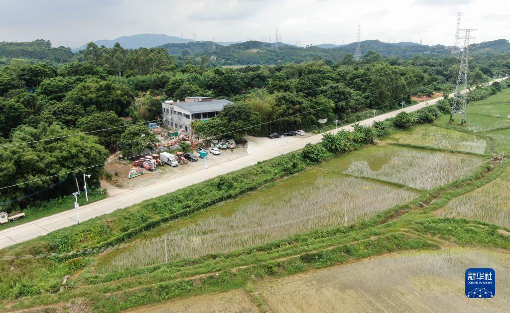 九号赌城首页